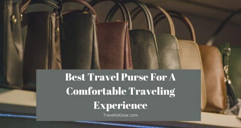 Best Travel Purse