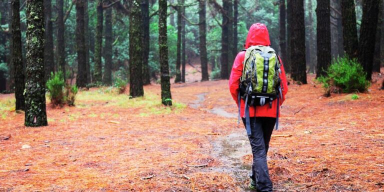 Backpacking In the Rain